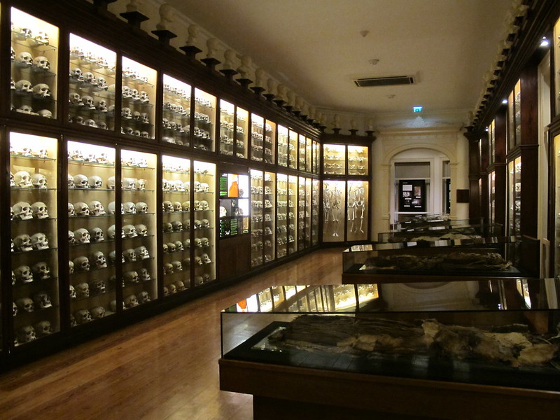 El Museo Canario